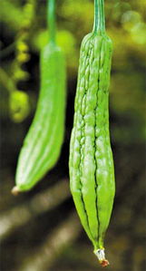 品味臺(tái)灣風(fēng)情，臻享健康生活——北京璽盛商貿(mào)的臺(tái)灣美食與有機(jī)佳品